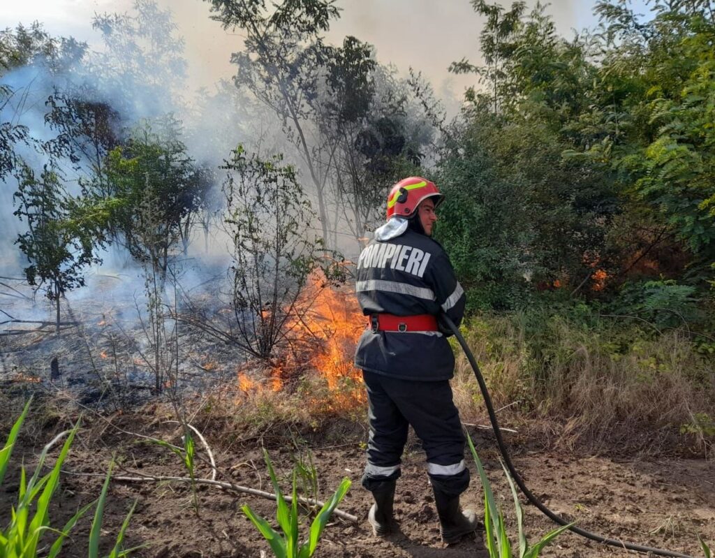 Incendiu de vegetație - ISU Călărași