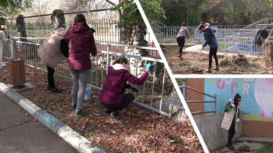 Voluntariat Zoo Călărași