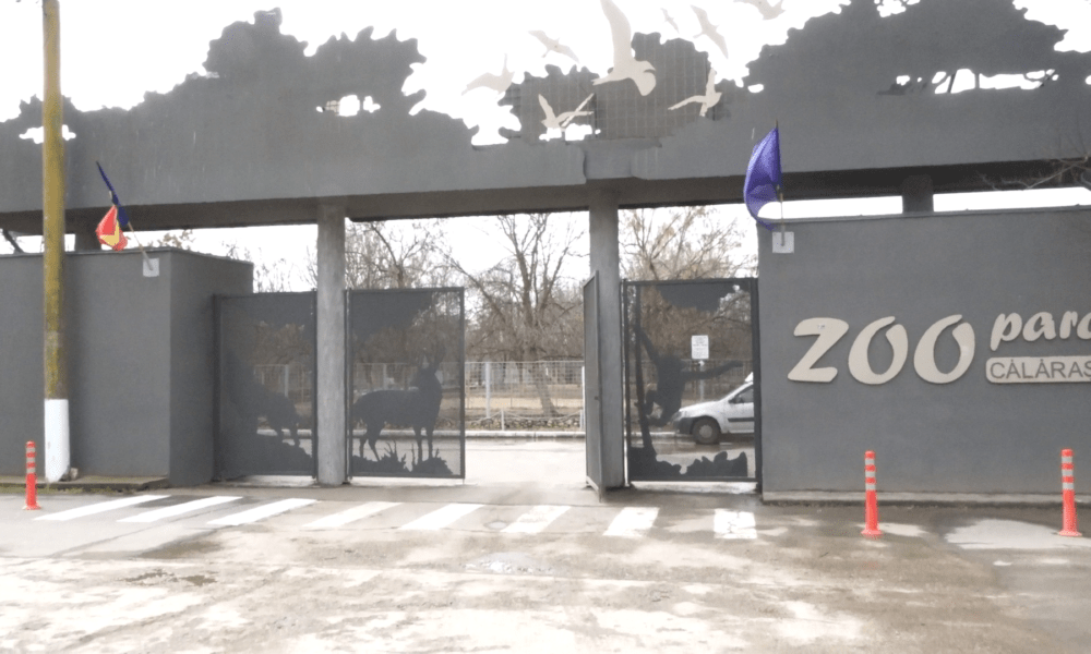 Zoo Călărași