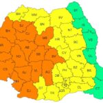 Cod galben, județul Călărași