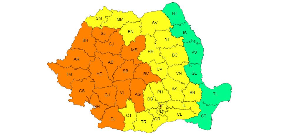 Cod galben, județul Călărași