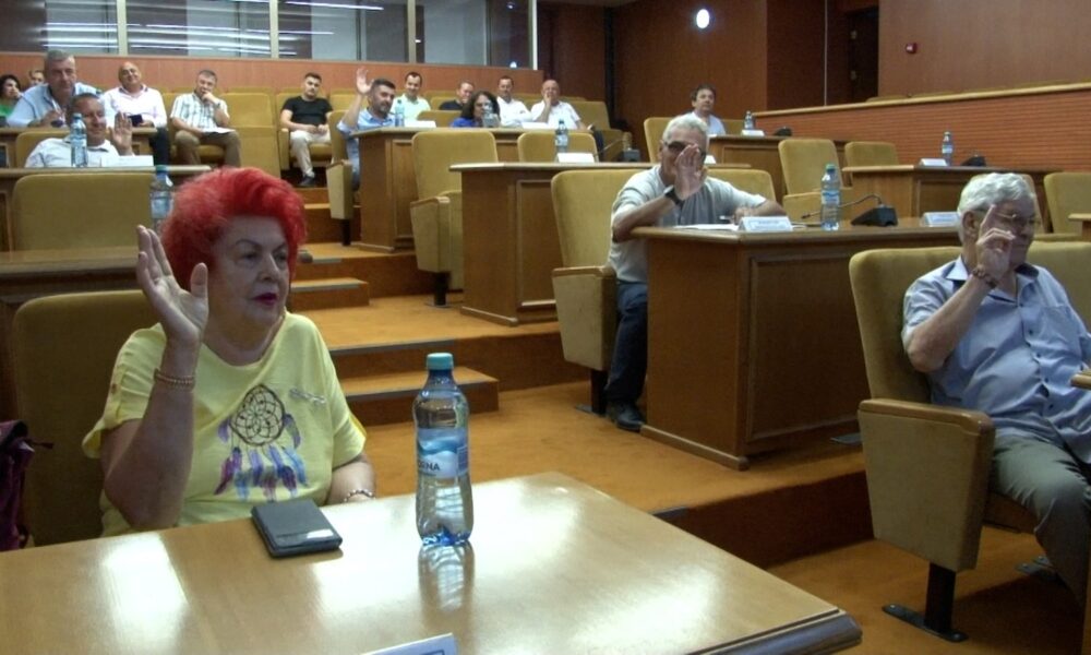 Ședință de Consiliu Local