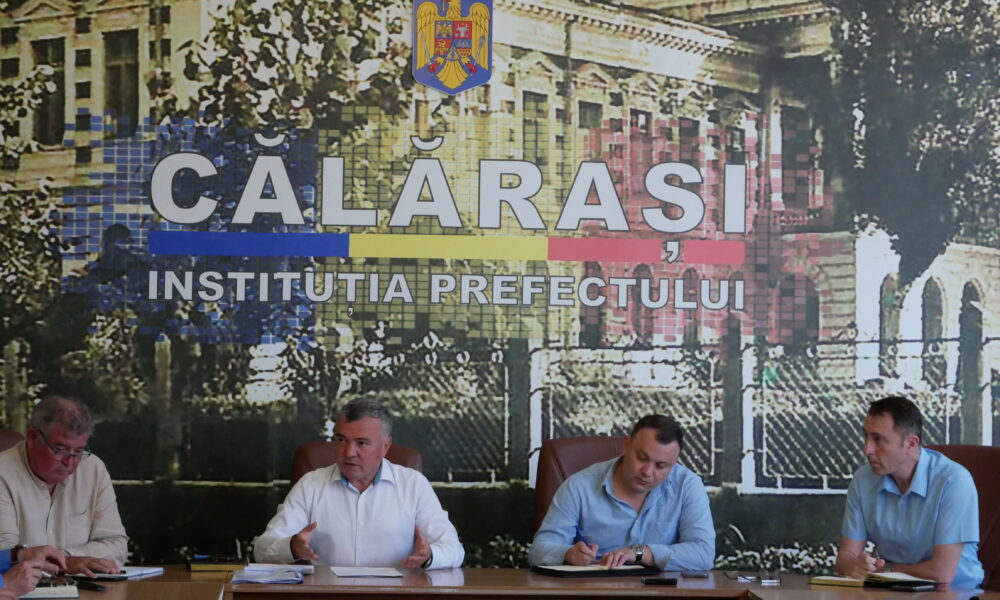 Valentin Deculescu - pagube vijelie